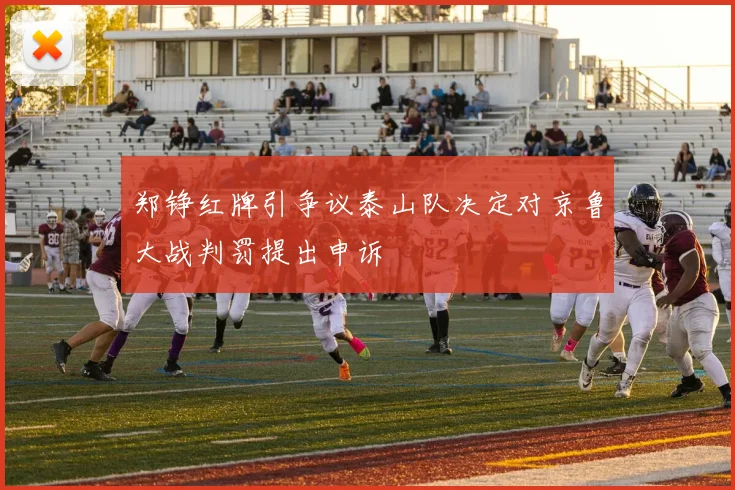 郑铮红牌引争议泰山队决定对京鲁大战判罚提出申诉