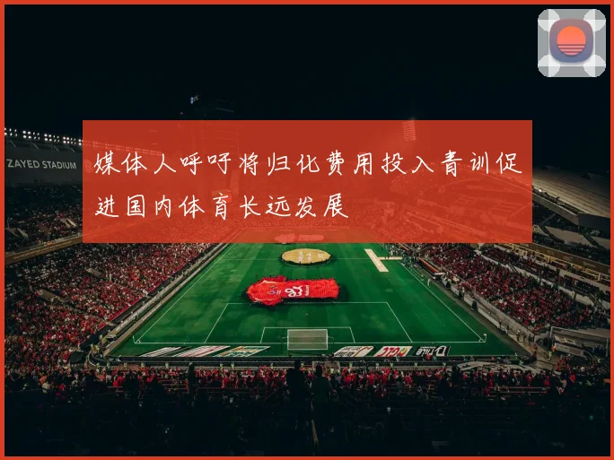 媒体人呼吁将归化费用投入青训促进国内体育长远发展